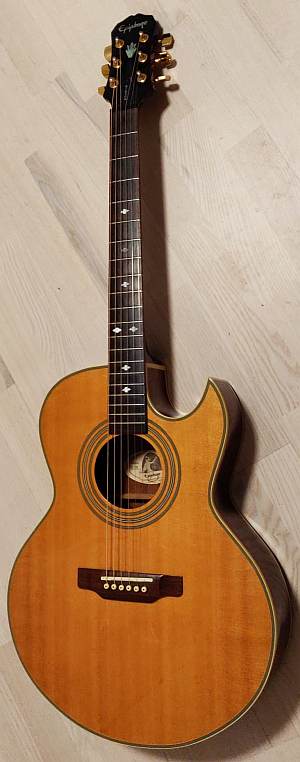 Epiphone PR5E